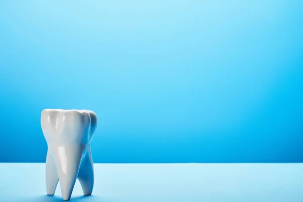 Vista da vicino del modello di dente bianco su sfondo blu — Foto stock