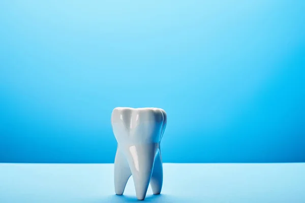 Close up view of white tooth model on blue backdrop — Stock Photo