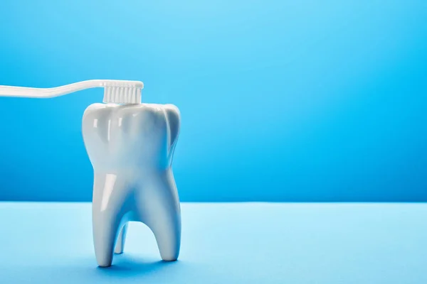 Vista de cerca del modelo de diente y cepillo de dientes sobre fondo azul, concepto de odontología — Stock Photo
