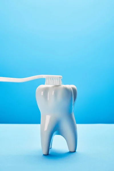 Close up view of tooth model and toothbrush on blue background, dentistry concept — Stock Photo