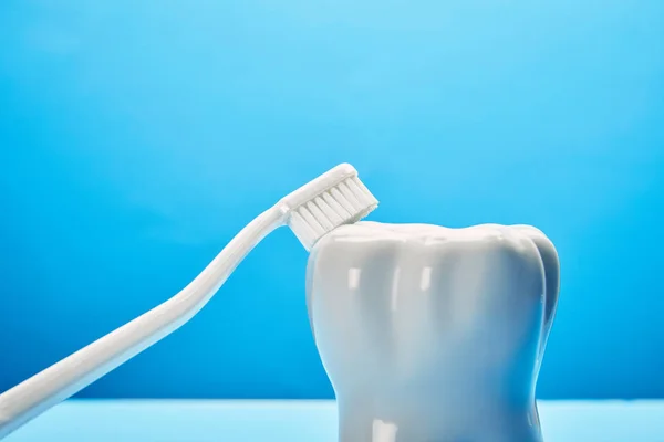 Primo piano vista del modello di dente e spazzolino da denti su sfondo blu, concetto di odontoiatria — Foto stock