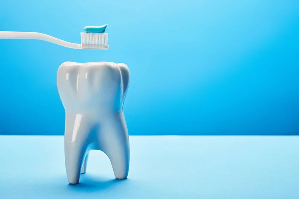 Крупним планом вид на модель зуба і зубна щітка з пастою на синьому фоні, концепція догляду за зубами — стокове фото