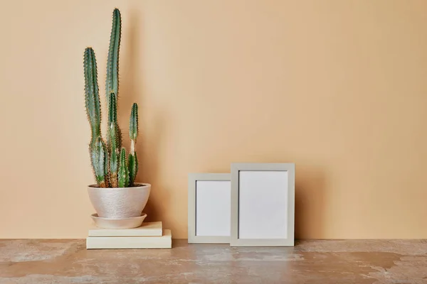Plante de cactus et cadres photo sur table sur fond beige — Photo de stock