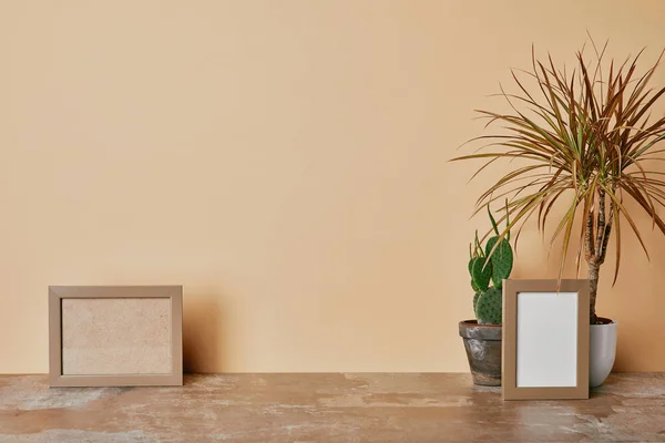 Marcos de fotos y diferentes plantas en la mesa sobre fondo beige - foto de stock