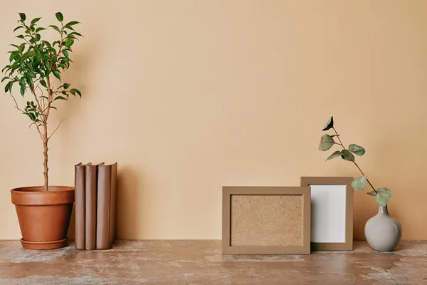 Plant, vase with flower, books and photo frames on beige background — Stock Photo