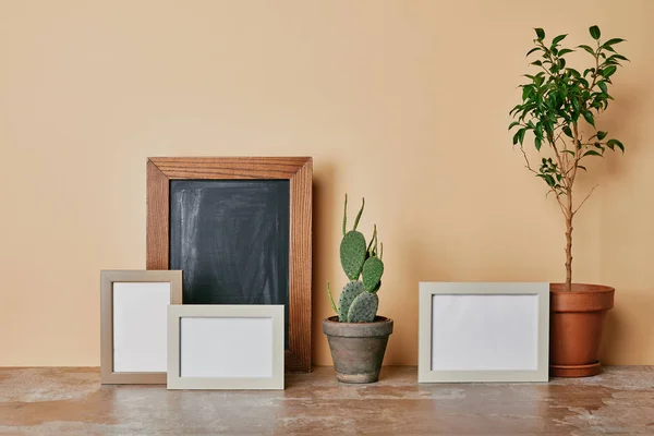 Different plants and photo frames on table on beige background — Stock Photo