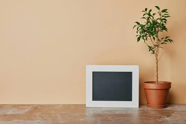 Marco de fotos blanco vacío y planta en flowepot sobre fondo beige - foto de stock