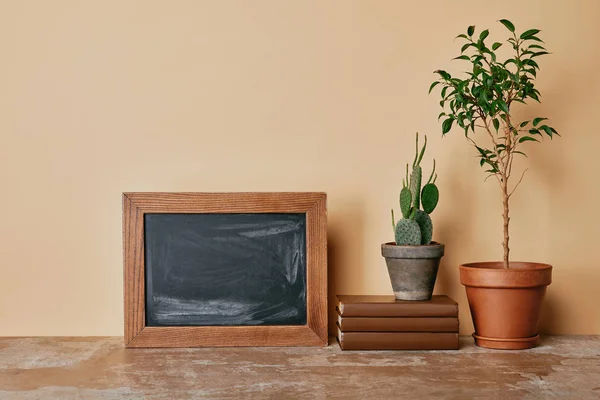 Plantas em vasos de flores, molduras para fotos e livros sobre fundo bege — Fotografia de Stock