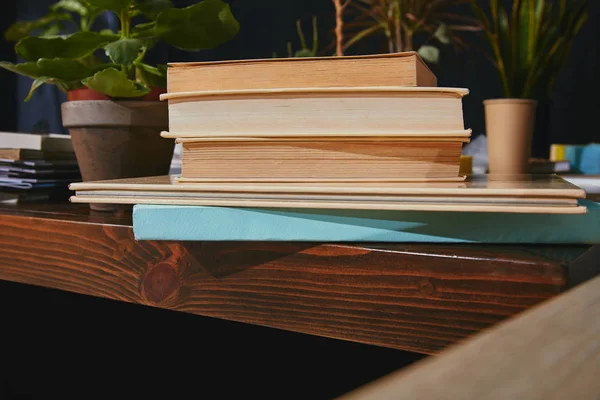 Gros plan des livres et des plantes d'intérieur à la table en bois — Photo de stock