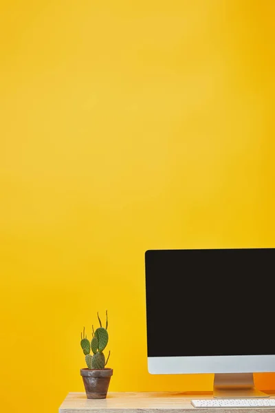 Ordinateur et cactus en pot à table en bois sur jaune — Photo de stock
