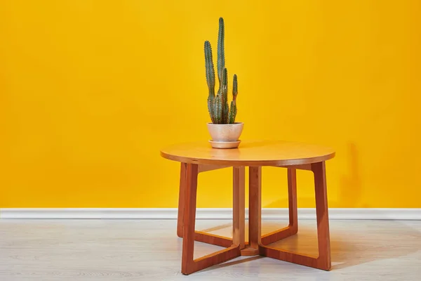 Кактус в цветочном горшке на маленьком деревянном столе возле желтой стены — стоковое фото
