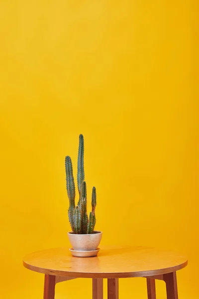 Kaktus im Blumentopf bei Holzkaffee isoliert auf gelb — Stockfoto