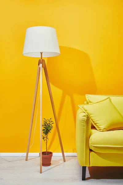 Canapé, plante d'intérieur et lampe près du mur jaune — Photo de stock