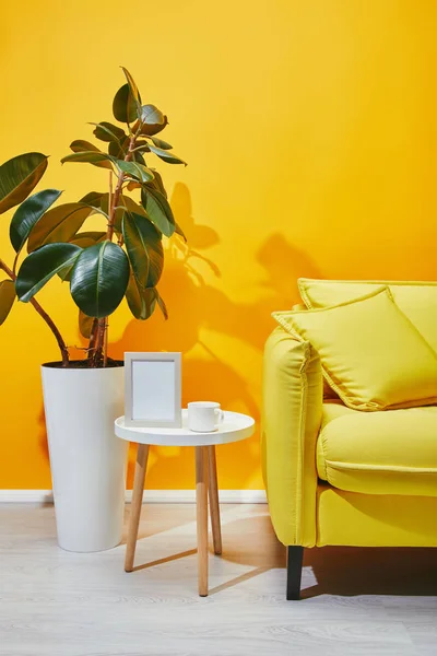 Canapé, plante ficus et petite table avec cadre photo et tasse de café — Photo de stock