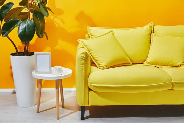 Canapé, ficus et petite table avec cadre photo et tasse de café près du mur jaune — Photo de stock