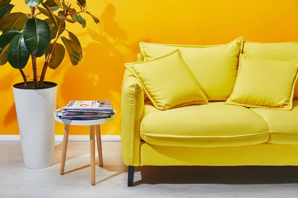 Sofa with pillows, houseplant and little table with journals near yellow wall — Stock Photo