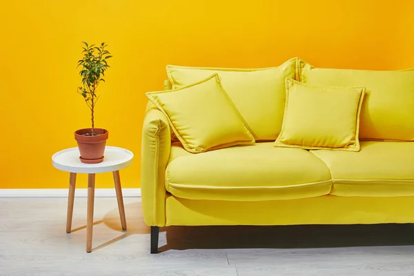 Sofá com planta na pequena mesa de café perto da parede amarela — Fotografia de Stock