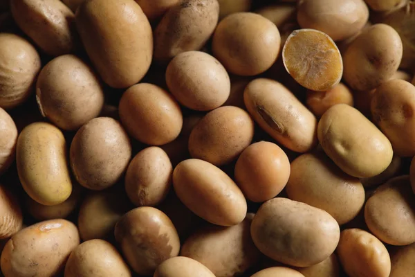 Close up of soybean as textured background with copy space — Stock Photo