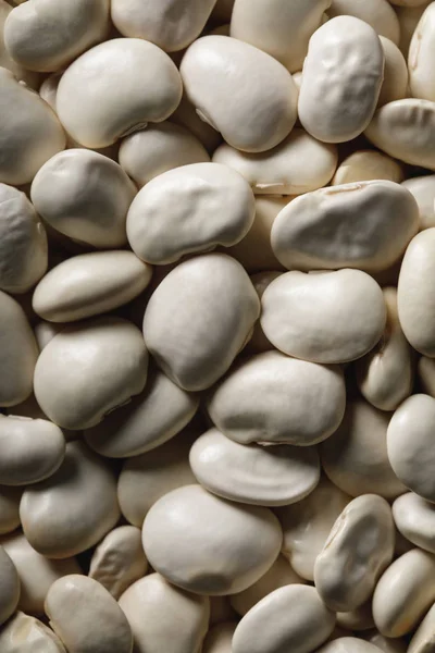 Close up of white beans as textured background with copy space — Stock Photo