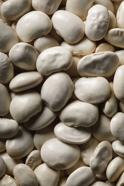 Gros plan de haricots blancs comme fond texturé avec espace de copie — Photo de stock