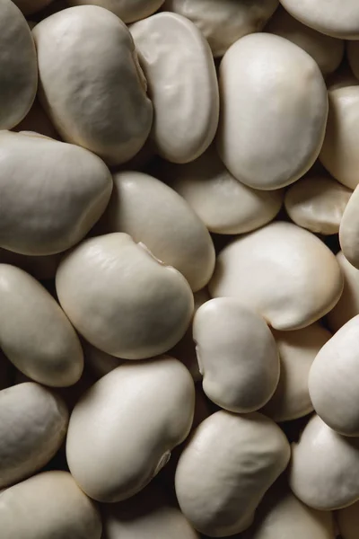 Gros plan de haricots blancs crus comme fond texturé avec espace de copie — Photo de stock