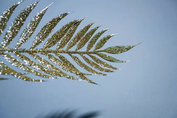 Selektiver Schwerpunkt des festlichen Zweiges mit goldenem Glanz, weihnachtliches Hintergrundkonzept — Stockfoto