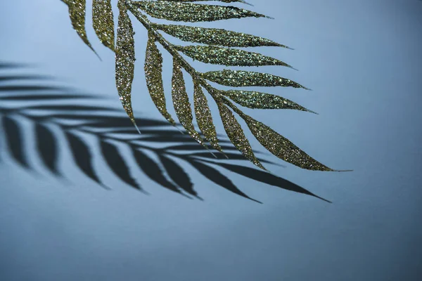 Nahaufnahme des festlichen Zweiges mit goldenem Glanz und Schatten, weihnachtliches Hintergrundkonzept — Stockfoto