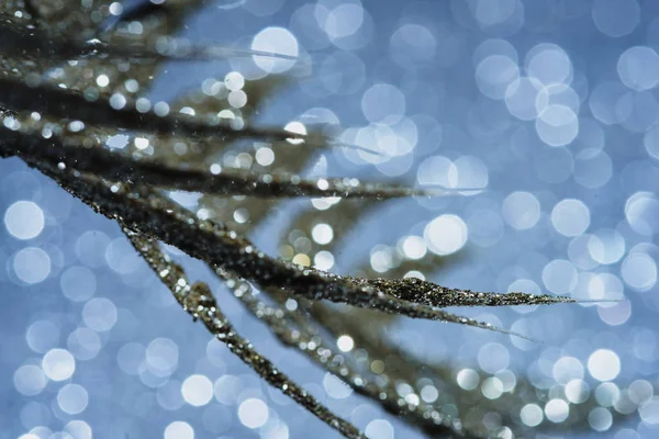 Enfoque selectivo de la rama festiva decorada con brillo dorado, concepto de fondo de Navidad - foto de stock
