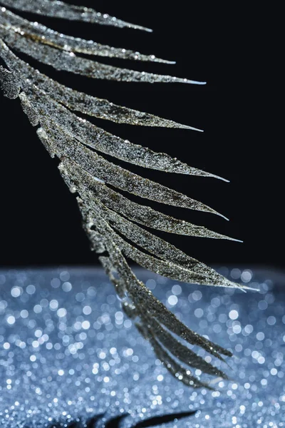 Close up view of festive branch decorated by golden glitter and shadow on black — Stock Photo