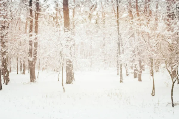 Getöntes Bild des schönen verschneiten Winterwaldes — Stockfoto