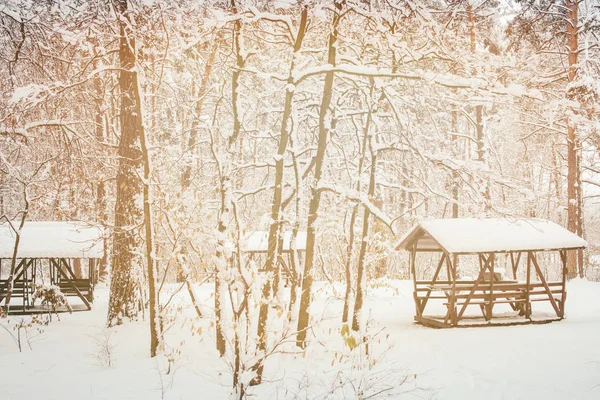 Тонизированная картина альковы в красивом снежном зимнем лесу — стоковое фото