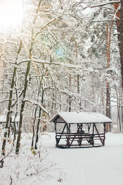 Vista panorámica de las alcobas en el hermoso bosque de invierno nevado con luz solar - foto de stock