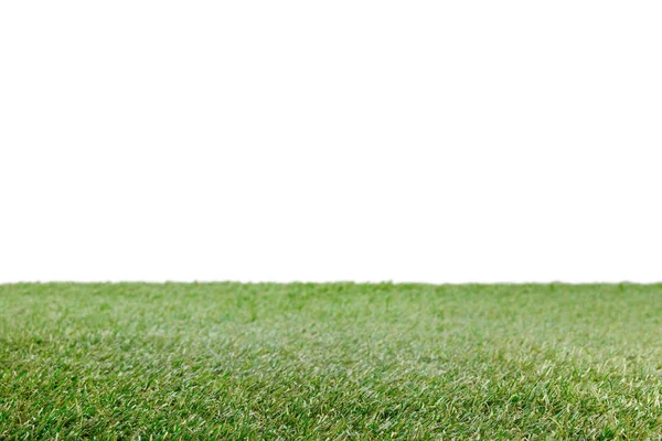 Lawn with green grass on white, floral background — Stock Photo