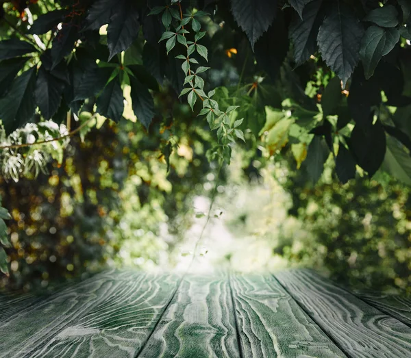 Striped wooden background on beautiful green leaves wallpaper — Stock Photo