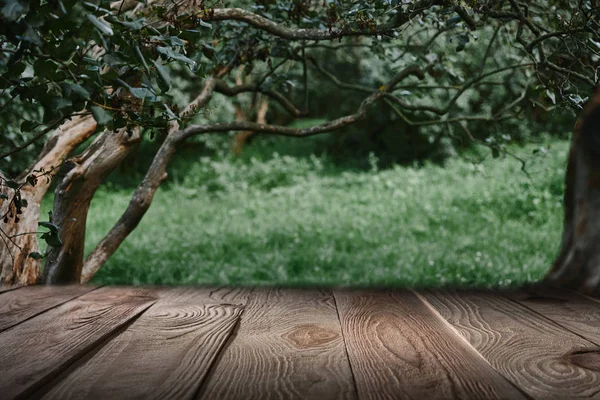 Striped brown wooden background on beautiful forest wallpaper — Stock Photo