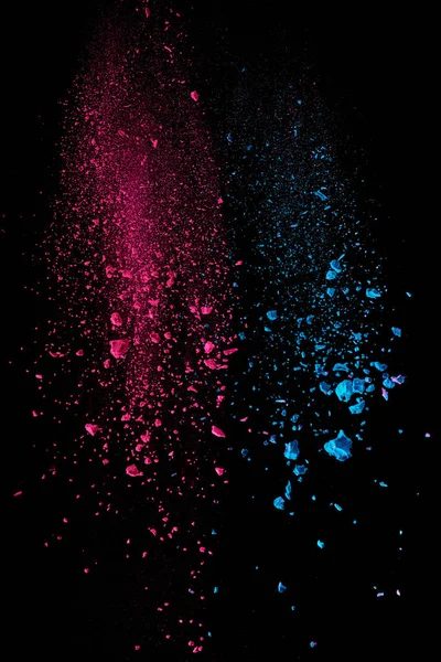 Pink and blue holi powder in air on black background — Stock Photo