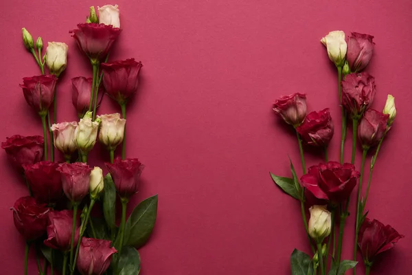 Flores florecientes eustoma con hojas verdes sobre fondo rubí - foto de stock