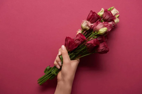 Cropped view of woman holding bouquet in hands on ruby background — Stock Photo