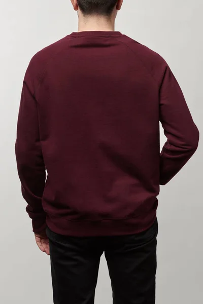 Back view of man in burgundy sweatshirt with copy space isolated on grey — Stock Photo