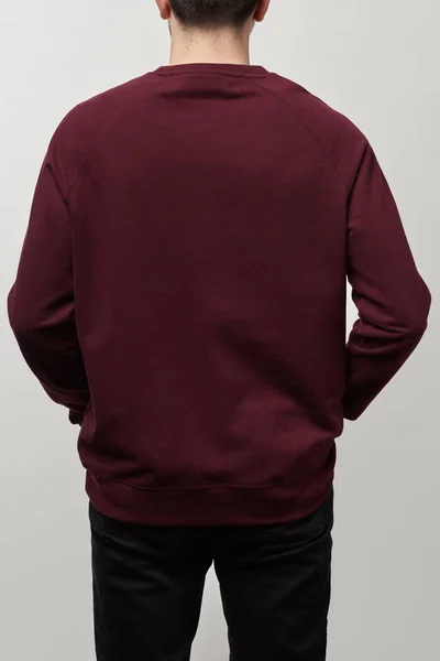 Vista trasera del hombre en sudadera casual de color burdeos con espacio de copia aislado en gris - foto de stock