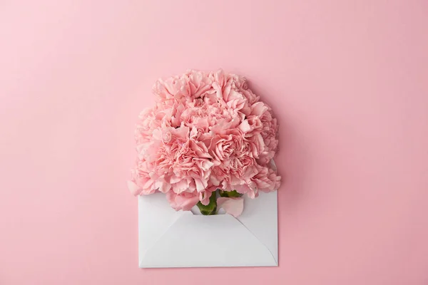 Beautiful pink carnation flowers and white envelope isolated on pink — Stock Photo