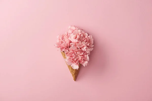 Belas flores de cravo rosa em cone de waffle isolado em rosa — Fotografia de Stock