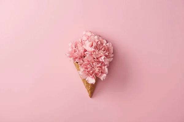 Belles fleurs d'oeillet rose en cône de gaufre isolé sur rose — Photo de stock