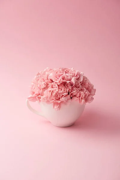 Beautiful tender pink carnation flowers in white cup on pink background — Stock Photo