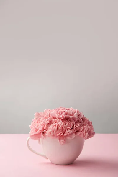 Copa blanca con hermosas flores de clavel rosadas tiernas en gris - foto de stock