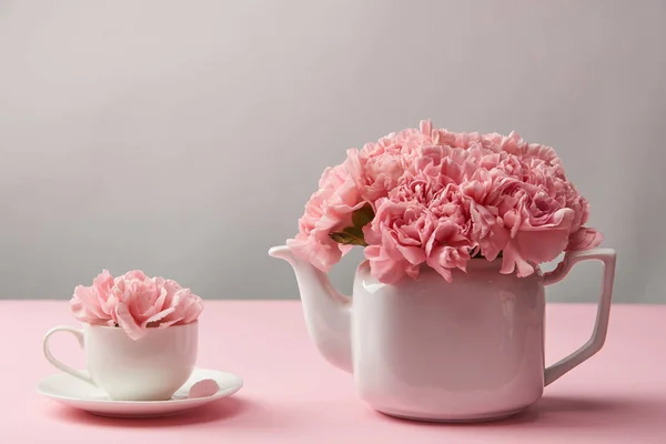 Hermosas flores de clavel de color rosa tierno en tetera blanca y taza en gris - foto de stock