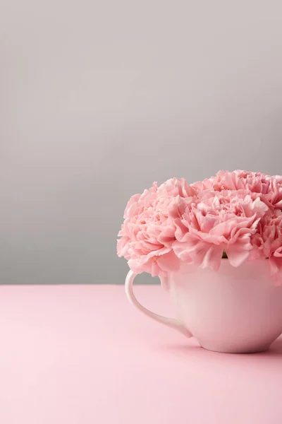 Nahaufnahme von schönen rosa Nelkenblüten in Tasse auf grauem Hintergrund — Stockfoto