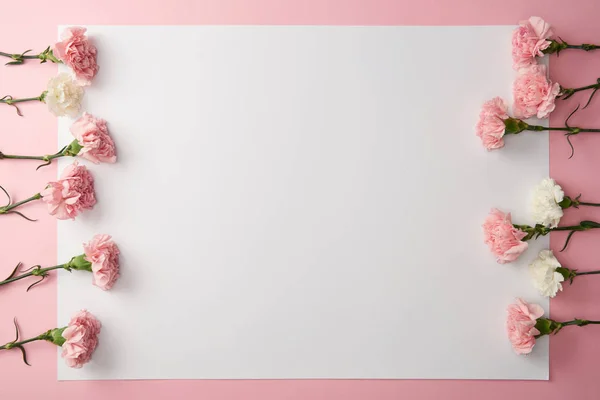 Vista dall'alto di bellissimi fiori rosa e bianchi e carta bianca su sfondo rosa — Foto stock