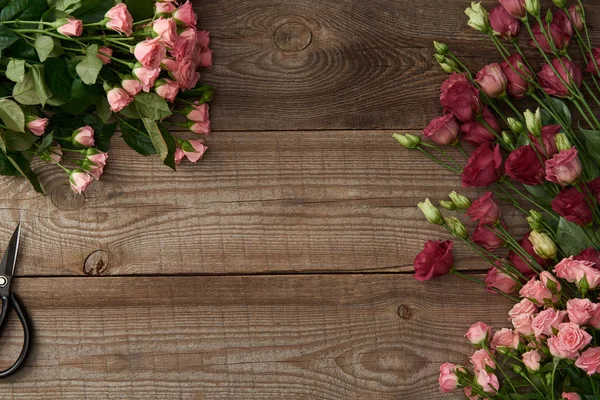 Top view of beautiful various flowers and scissors on wooden surface — Stock Photo