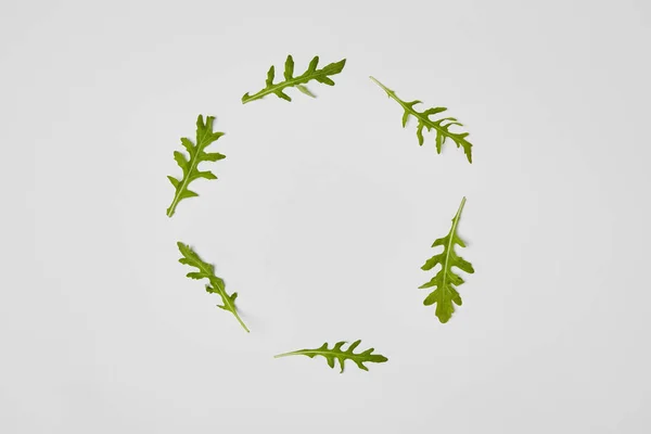 Vue de dessus des feuilles d'arugulas en cercle isolé sur gris — Photo de stock